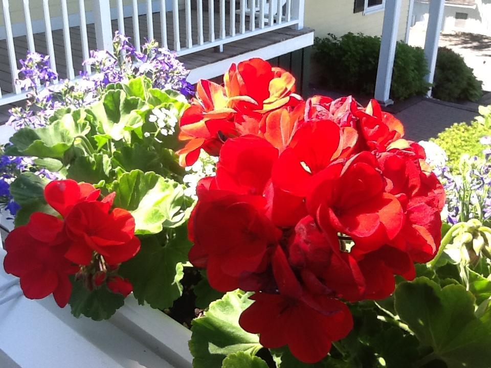 Harbor House Inn Boothbay Harbor Dış mekan fotoğraf